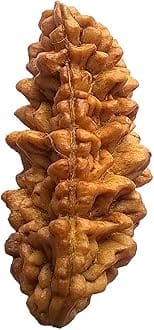 Real Seed Brown Ek Mukhi Rudraksha