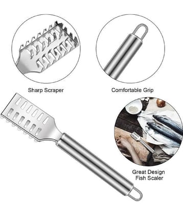 VillWin Silver Stainless Steel Fish Scale Remover Pack of 2 ( Set of 2 )