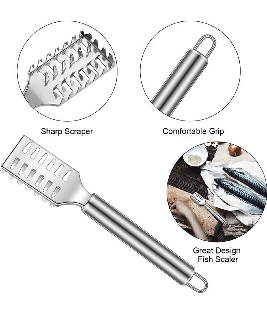 VillWin Silver Stainless Steel Fish Scale Remover Pack of 2 ( Set of 2 )
