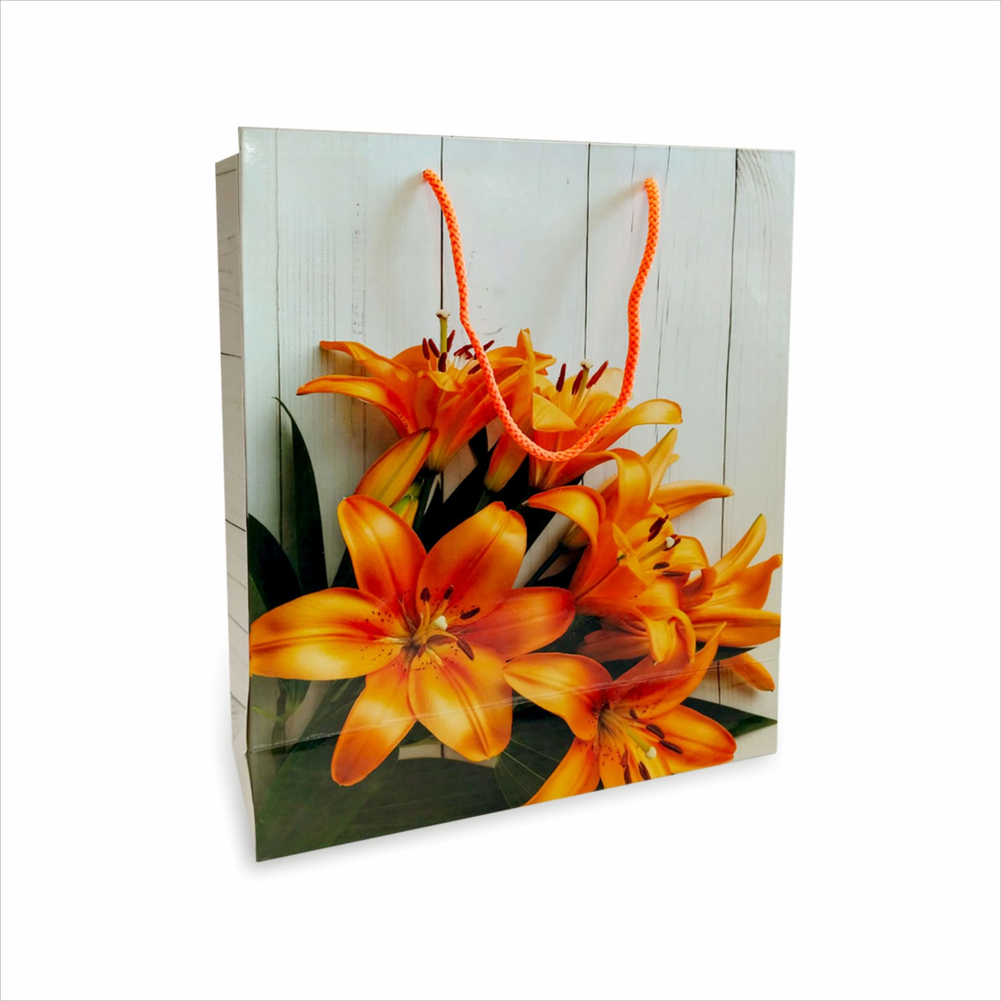 Premium Tulip 200 GSM 3D Gloss Lamination Paper Gift Bags, Ideal For Premium Gifting, Wedding Gifts, & Gifting on Special Occasions (Size: 12.5x10.25x4 inch) -  Set of 5