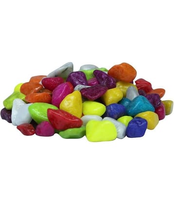 Somil Multicolor Pabbles/Stone For Garden, Plants, Aquarium & Home Decor Wt. 450g