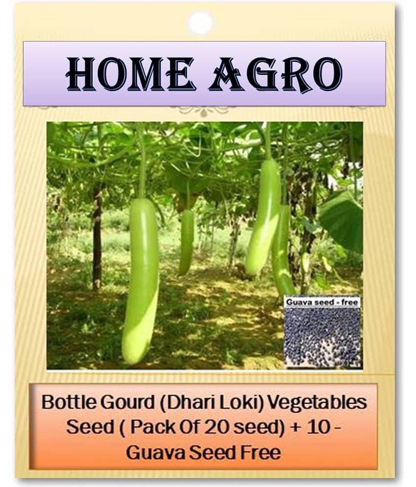 homeagro - Vegetable Seeds ( 20 )