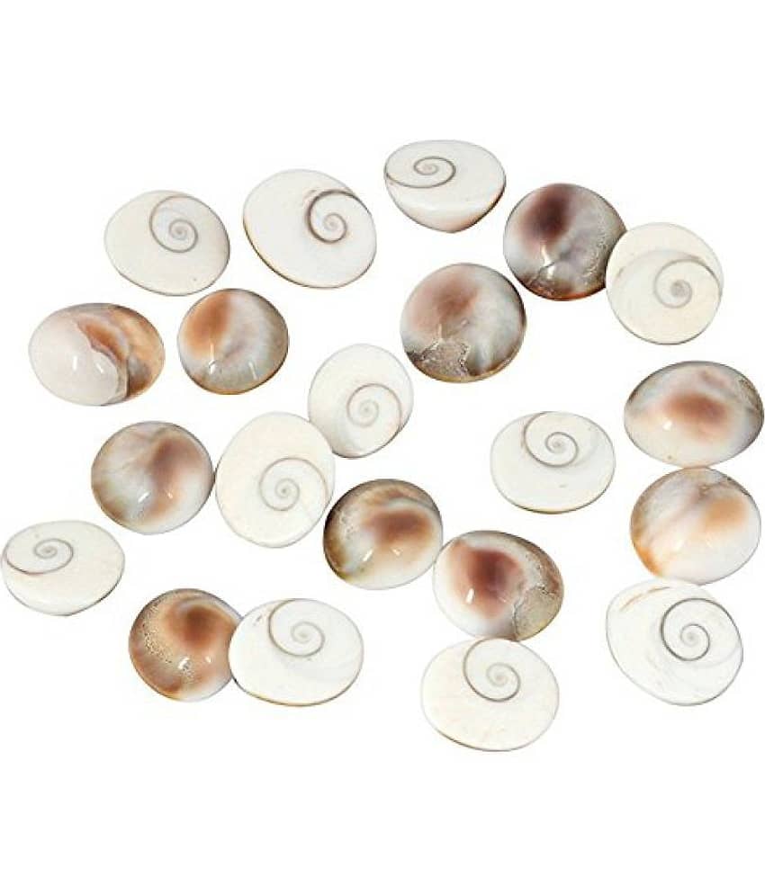 Gomati chakra original (12 Piece) 100% Natural & Real Gomti Chakra from Gomti River