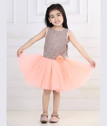 Toy Balloon Kids Net Frock For Girls ( Pack of 1 , PeachPuff )