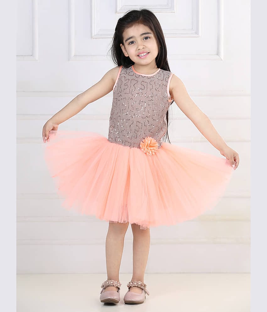 Toy Balloon Kids Net Frock For Girls ( Pack of 1 , PeachPuff )