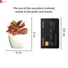 ... ...