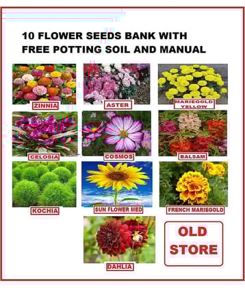 COMBO OF 10 DIFFERENT TYPE FLOWER PLANT SEEDS PACK WITH COCOPEAT AND USER MANAUL MORE THEN 300 SEEDS PACK FOR HOME GARDENUNG USE