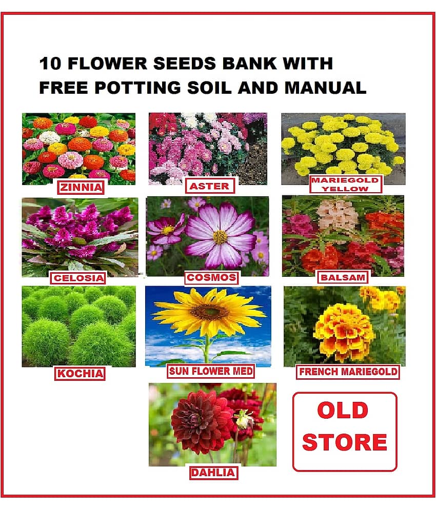 COMBO OF 10 DIFFERENT TYPE FLOWER PLANT SEEDS PACK WITH COCOPEAT AND USER MANAUL MORE THEN 300 SEEDS PACK FOR HOME GARDENUNG USE