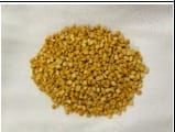 CHANA DAL/ SPLIT BENGAL GRAM