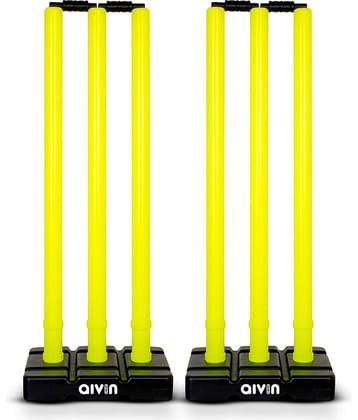 Aivin Stumps & Bails ( Pack of 2 )
