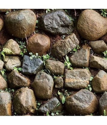 sekhmet Abstract Wallpaper ( 45 x 250 ) cm ( Pack of 1 )