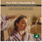 ... ...