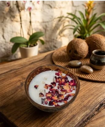 The coastal rose coconut candle