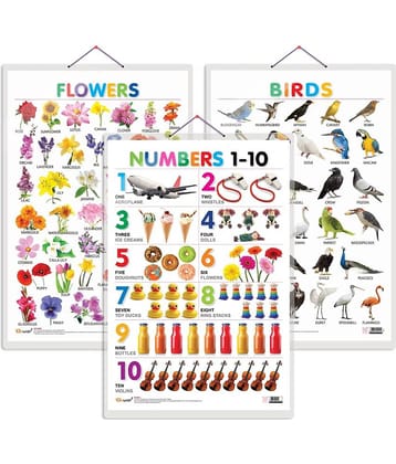 Set of 3 Birds, Flowers and Numbers 1-10 Early Learning Educational Charts for Kids | 20"X30" inch |Non-Tearable and Waterproof | Double Sided Laminated | Perfect for Homeschooling, Kindergarten and Nursery Students