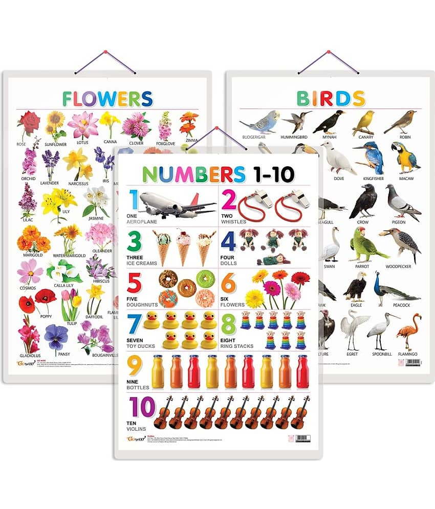 Set of 3 Birds, Flowers and Numbers 1-10 Early Learning Educational Charts for Kids | 20"X30" inch |Non-Tearable and Waterproof | Double Sided Laminated | Perfect for Homeschooling, Kindergarten and Nursery Students