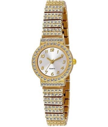 DECLASSE - Multicolor Metal Analog Womens Watch