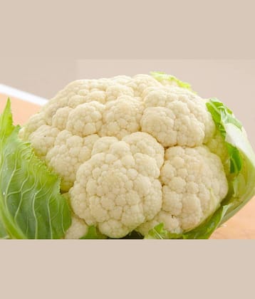 Vegetable Seeds Big Green Cauliflower Seeds - Cauliflower ​Seeds Home Garden Seeds