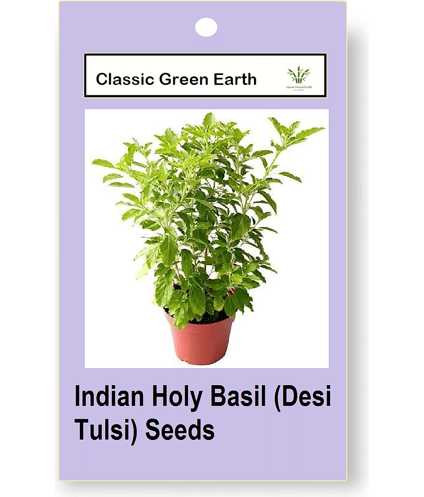 CLASSIC GREEN EARTH - Herb Seeds ( Indian Holy Basil (Desi Tulsi) 50 Seeds )