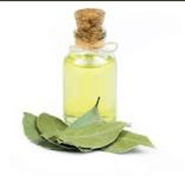 Bay Leaf Hydrosol