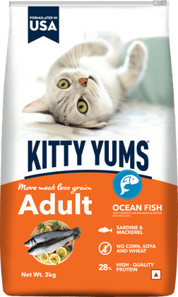 Kitty Yums Adult (+1 Year) Dry Cat Food, Ocean Fish, 3kg