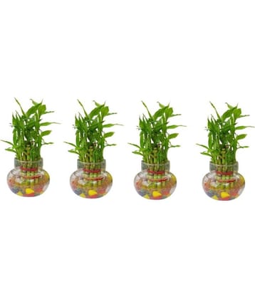 Green plant indoor - Green Wild Artificial Flowers With Pot ( Pack of 4 )
