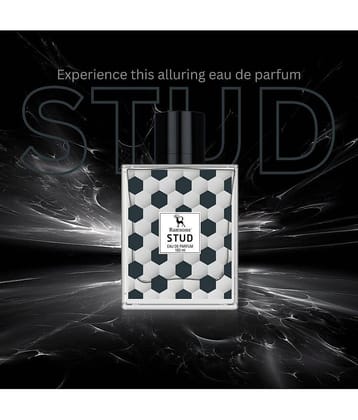 Ramsons - STUD Eau De Parfum Perfume For Men Long Lasting Premium Perfume 100 ml (Pack of 1)