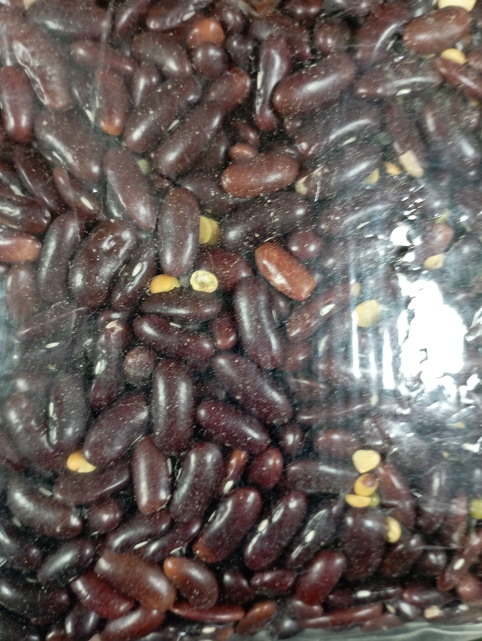 Rajma