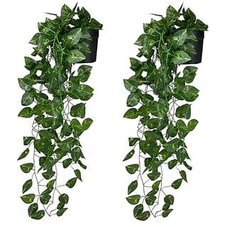 De Gardenia Artificial Plants with Pot Leaves Hanging Ivy Garlands Plant Greenery Vine Creeper Home Decor Door Wall Balcony Decoration Party (2 Pcs Money Plants With1 Black Plastic Pot) DGH S4O1