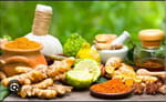 ASHOKA WELLNESS STORE