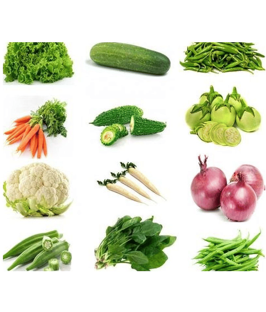 12 VEG COMBO (10-10SEEDS OF EACH ONE ) TOTAL 120 SEEDS PACK WITH MANUAL
