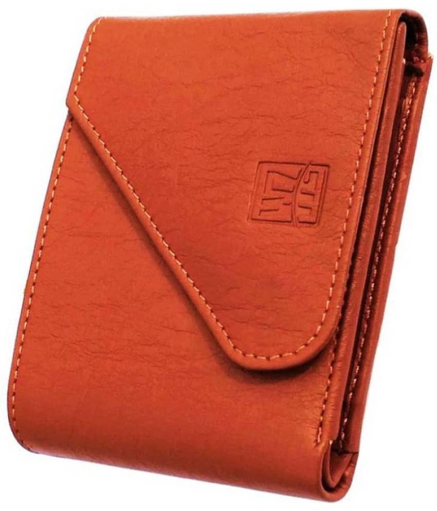WENZEST - Tan PU Men's Regular Wallet ( Pack of 1 )