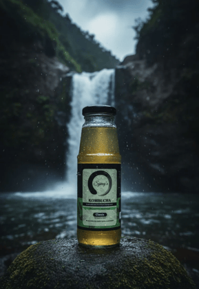 Syang’s Classic Kombucha (Pack of 6)