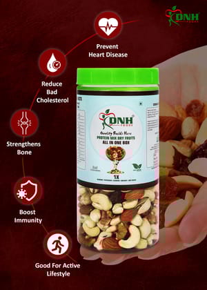DNH FOODS PROTEIN MIX  DRY FRUITS PREMIUM QUALITY | 1 Kg