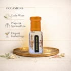 ... ...