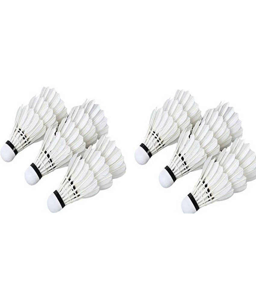EmmEmm 20 Pcs Feather Shuttlecock Others