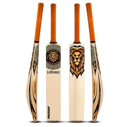 Willage Pratap Hybrid Plastic Cricket Bat HDPU Filled Full Size