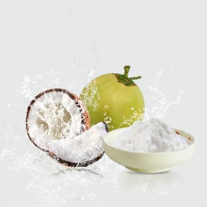 Dehydrated Coconut Water Powder  Nariyal