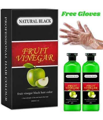 WRIXTY Fruit Vinegar Black Hair Colour Gel 500ml Instant Smooth Hair Ammonia Free Long Lasting Color