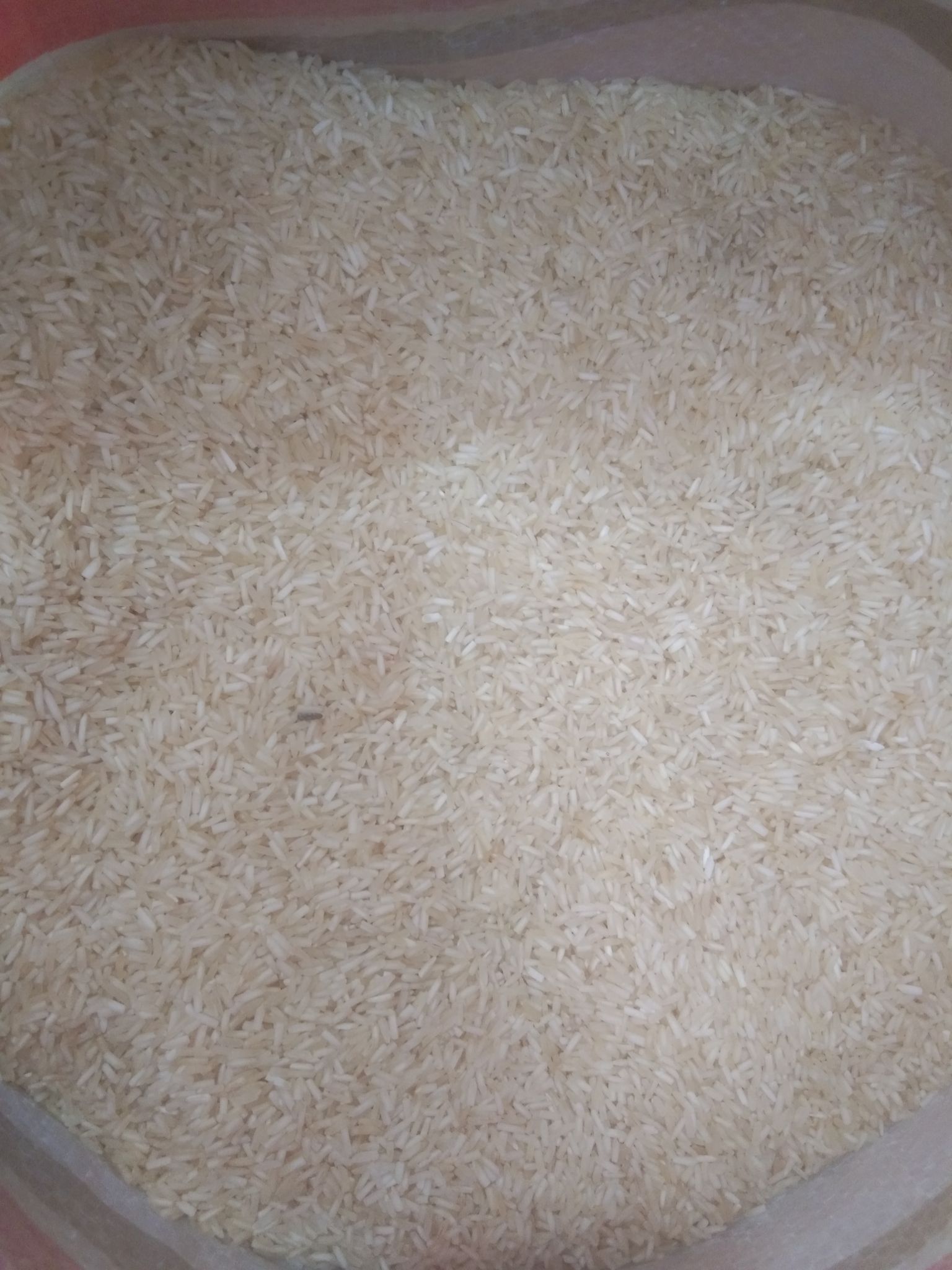 Kitchen Champion basmati rice loose