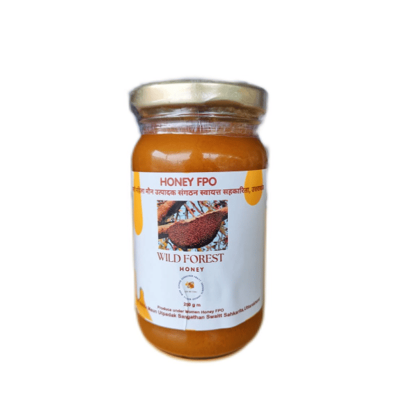 Wild Forest Honey - 250 gm