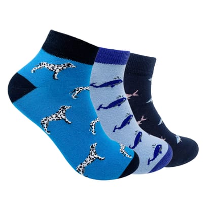 Ankle Set 3 Socks For Men - Essentials