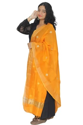 Tisser Maheshwari Silk Zari Border dupatta