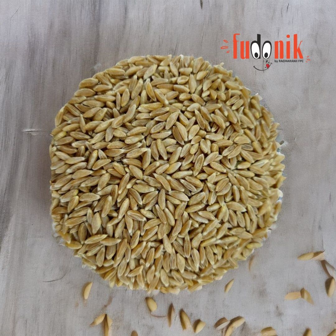 Fudonik Khapli / Emmer Wheat Whole Grain (1kg) | Low Gluten & Ancient Variety | Diabetic Friendly