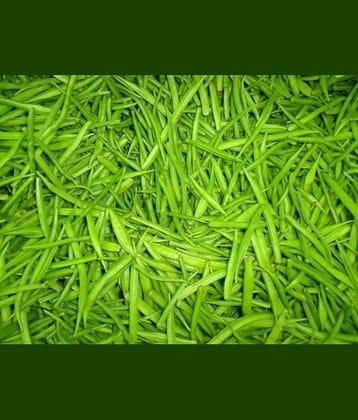Kannan Enterprises Organic Natural Cluster Bean Seeds 50 Count