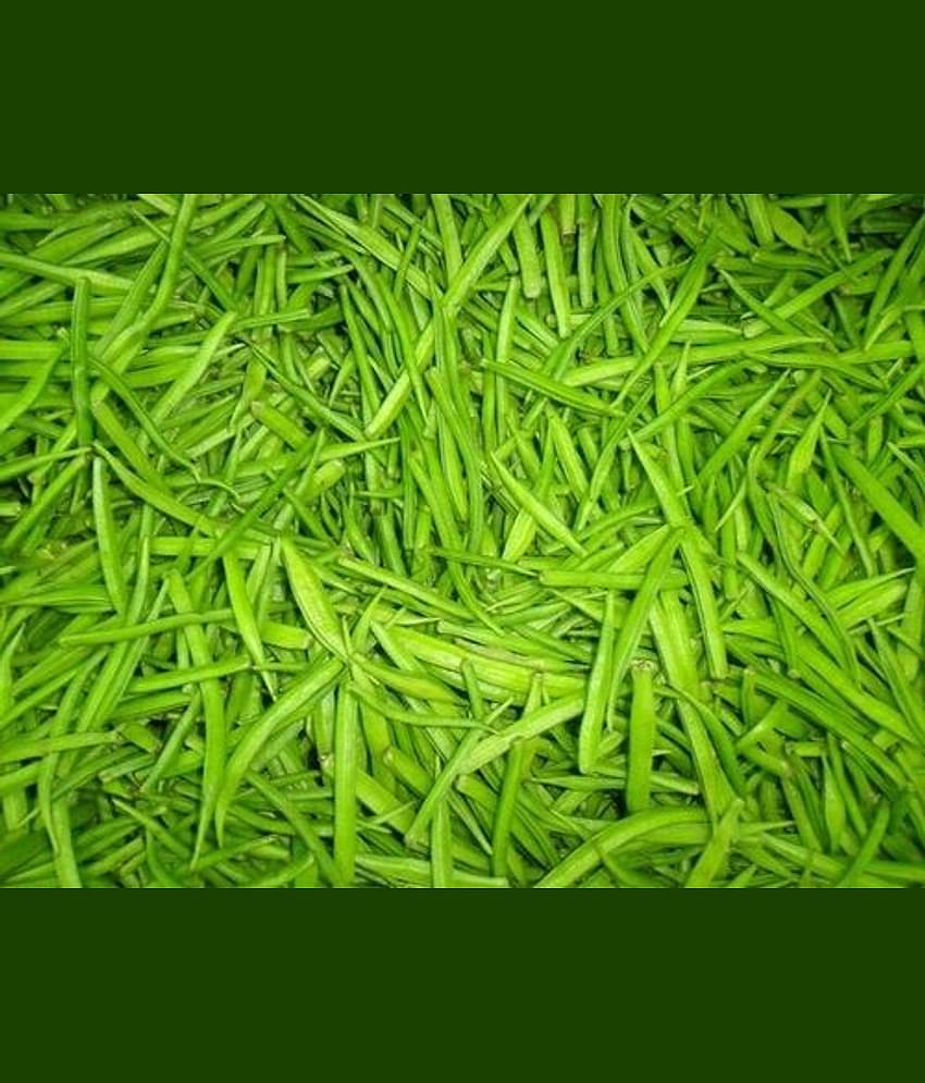 Kannan Enterprises Organic Natural Cluster Bean Seeds 50 Count