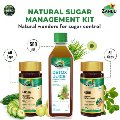 100% Ayurvedic Sugar Management Kit for Diabetes Care