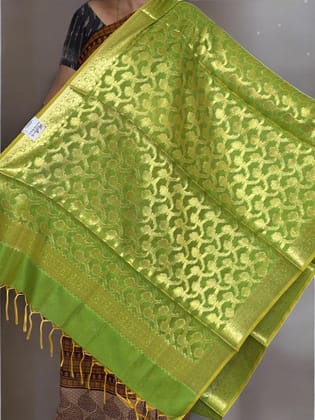 Banarasi Dupatta