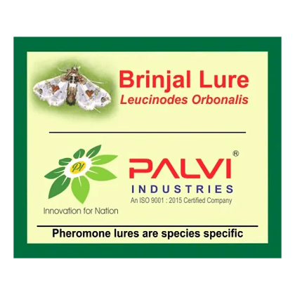 Leucinodes orbonalis  by Palvi industries