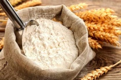 Premium Wheat Flour - 99 kg - One bulk sack