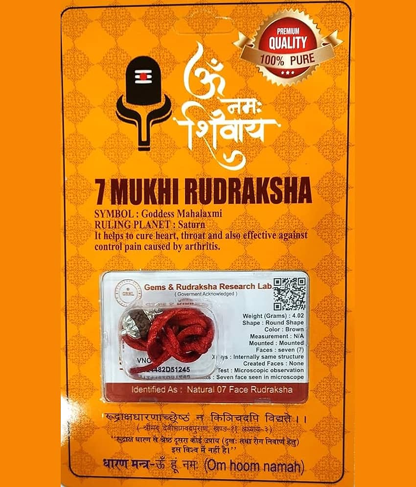 DvR ClicK 7 Mukhi Rudraksha Bead ( Pack of 1 )